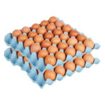 Ellis RSPCA Assured Free Range Medium Eggs - 5doz