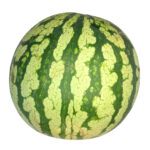 Watermelon Large - each