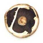 Portobello Mushroom Box - 1.5kg