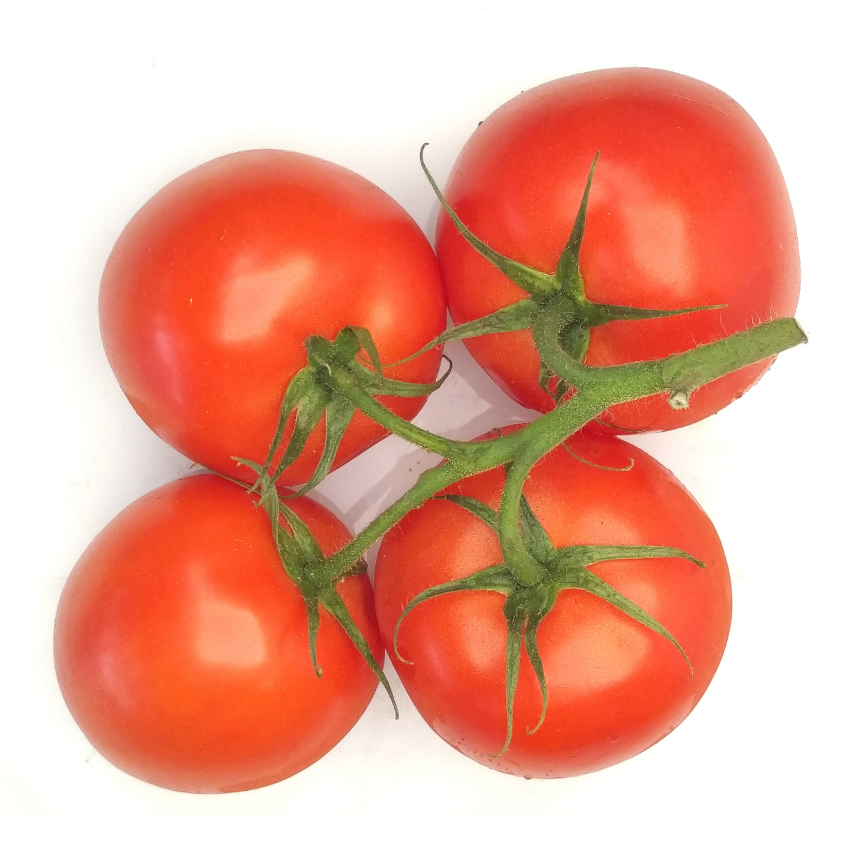 603400 Tomato Vine - Box - Image 1