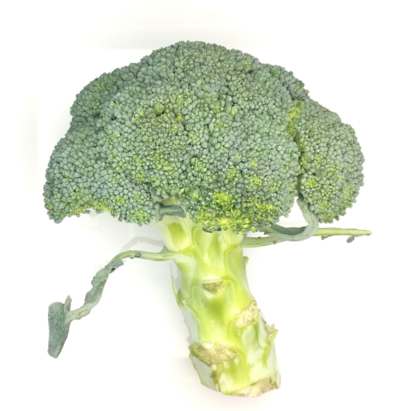 Broccoli Box - 6kg