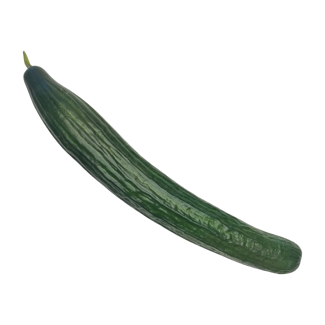 604981 Cucumber - each - Image 1